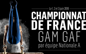 Championnat de France par Équipe National A